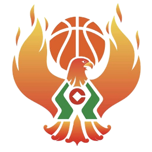 https://img.lonulight.com.cn/img/basketball/team/09b49d34027e0409a4de3295f8c71a2d.png